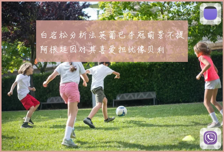 白岩松分析法英葡巴夺冠前景不提阿根廷因对其喜爱担忧像贝利